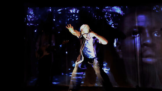 SignDance Collective