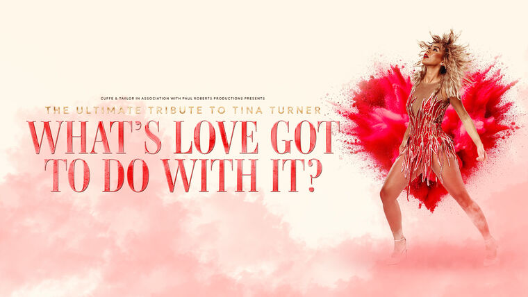 What's Love Got To Do With It